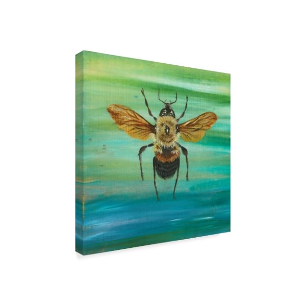 Gigi Begin 'Bumble Bee Flying' Canvas Art,35x35